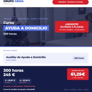 Auxiliar de Ayuda a domicilio 300h